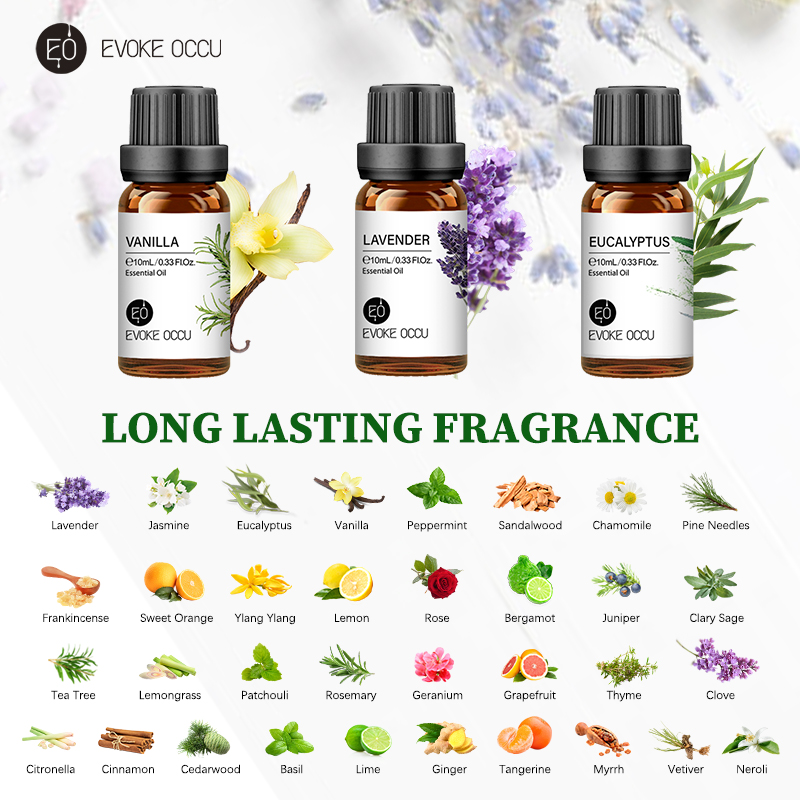 EVOKE OCCU 10 مل زيت طبيعي، زي - مراجعة Soap Making Ingredients وسعره